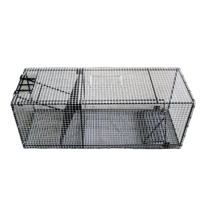diypestcontrol722386