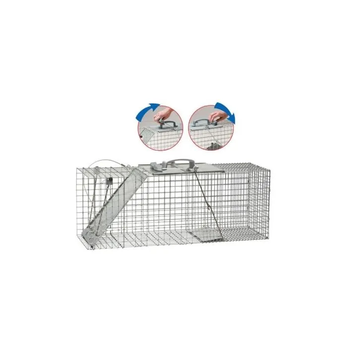 diypestcontrol725345
