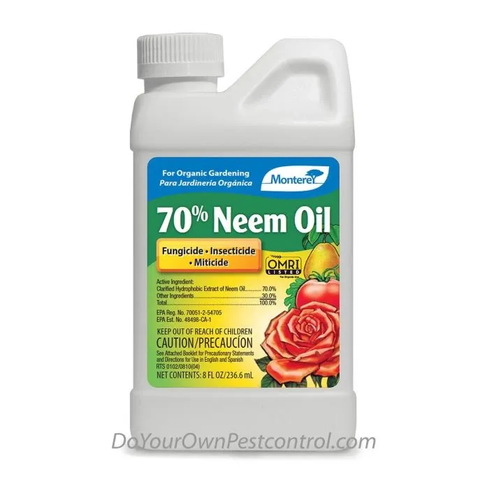 diypestcontrol727524
