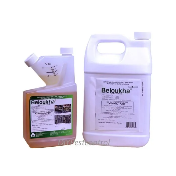 diypestcontrol730637